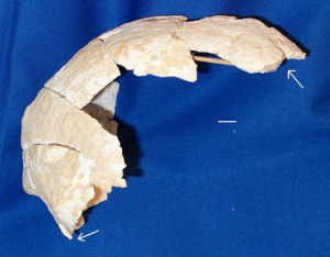 DurbandSR_AA73 Figure2