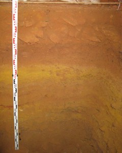 Law et al AA70 Figure S2