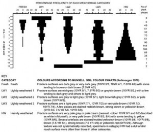 Attenbrow AA65 Figure 1