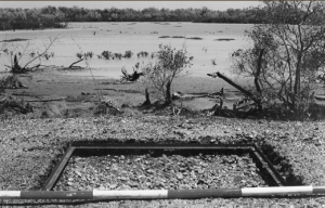 Shell mound HI81, showing excavation square overlooking saltflats (published in Australian Archaeology 59:11).