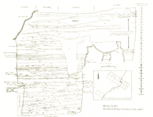 South sections of Trenches 9, 8(2) and 9, with trench plan inset from Devil's Lair (published in Australian Archaeology 43:30).