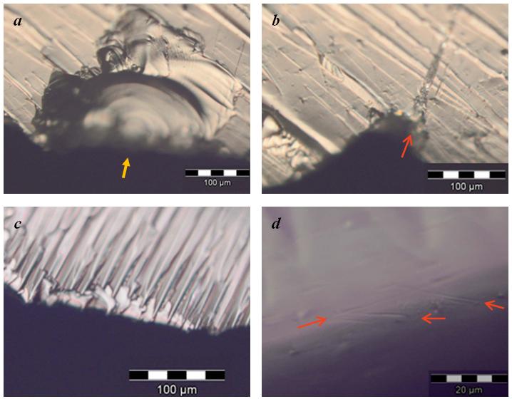 Examples of use-wear from Berehowyj's research. Image credit: Laressa Berehowyj.