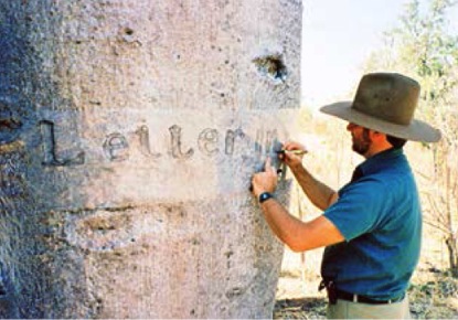 Darrell Lewis recording a blab tree at Gregory's Depot (published in Australian Archaeology 78).