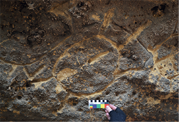 An example of a tortoise motif at Ngaut Ngaut engraving into the dark rock coating (published in Australian Archaeology 80:34).